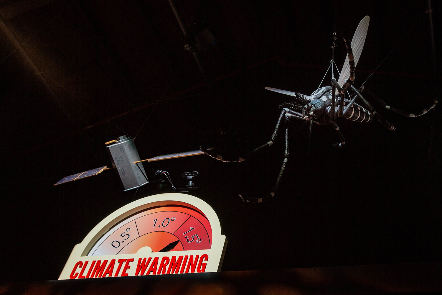Science Centre Climate Change Exhibition Hanging Mosquito