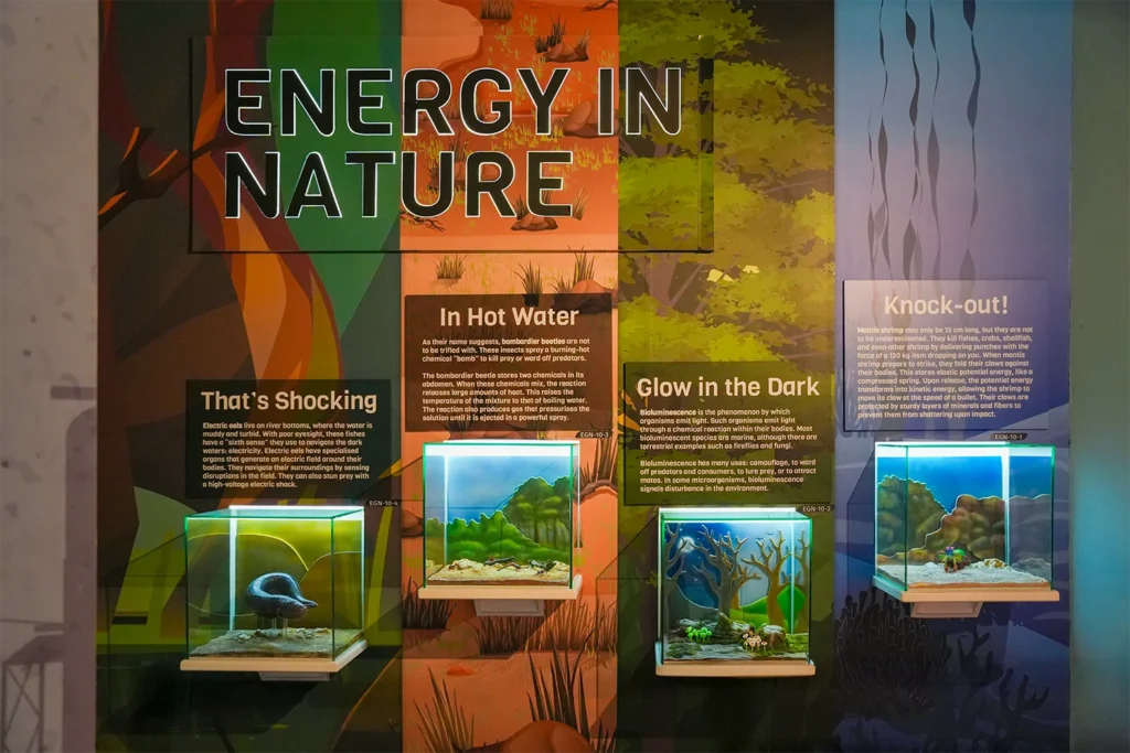 Science Centre Energy Story Exhibition Power