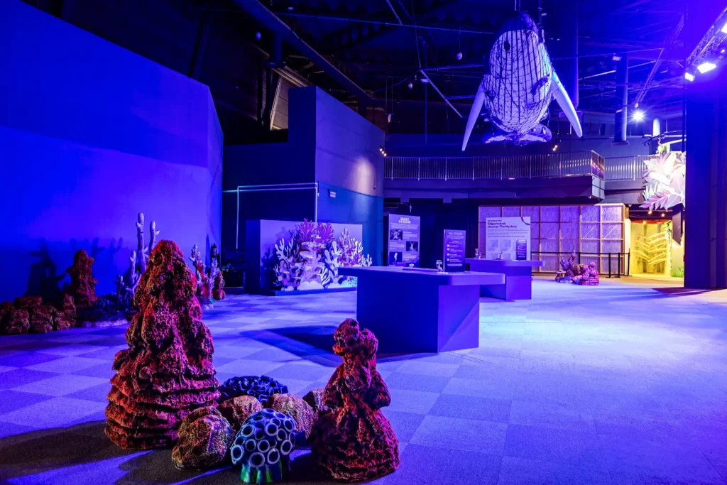 Shipwrecked: Uncover The Mystery – SG Science Fest 2026 - Coral Restoration