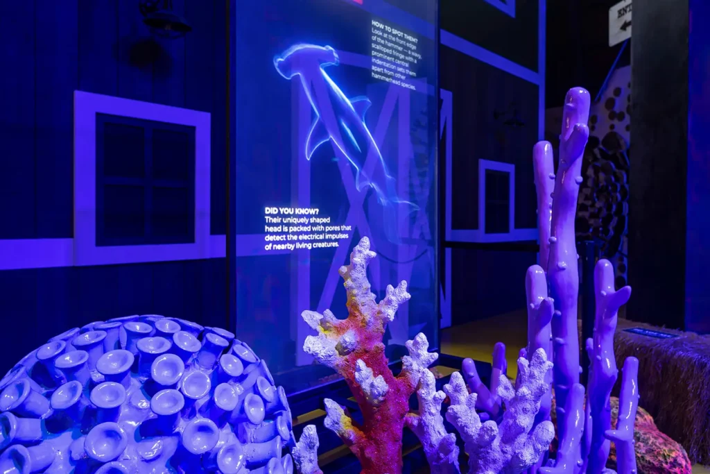 Shipwrecked: Uncover The Mystery – SG Science Fest 2026 - Coral Restoration