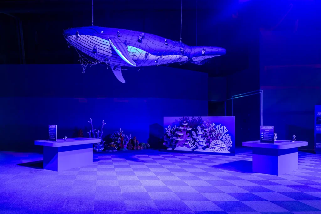 Shipwrecked: Uncover The Mystery – SG Science Fest 2026 - Coral Restoration